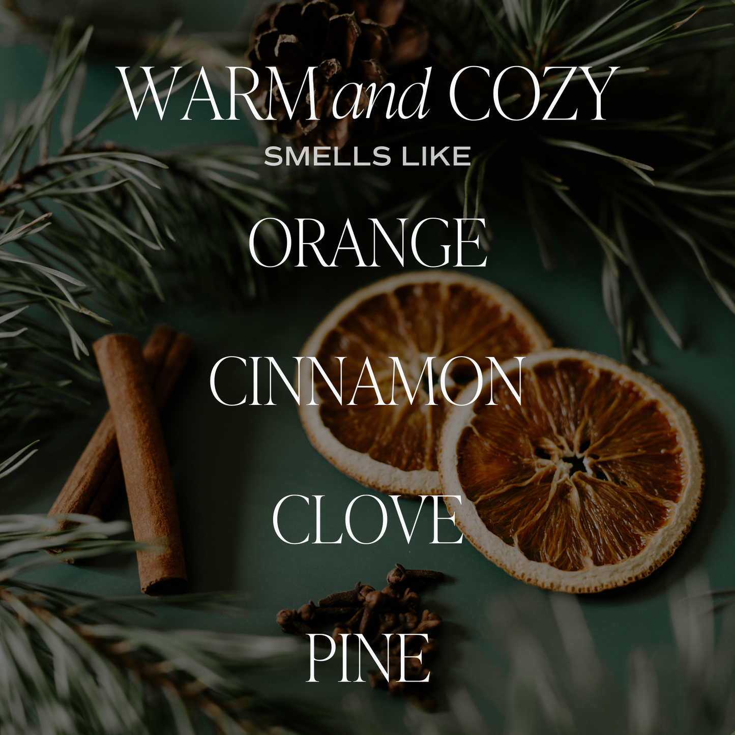 Warm and Cozy Reed Diffuser - Christmas Home Decor & Gifts